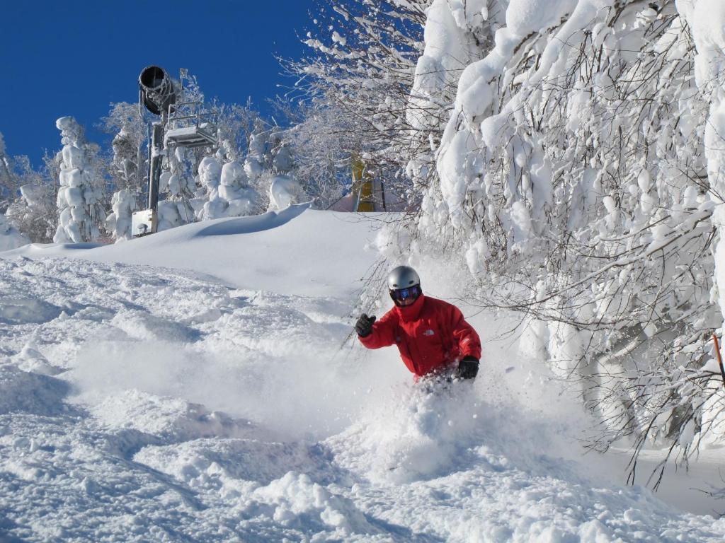Mountain Lodge Snowshoe Exterior photo